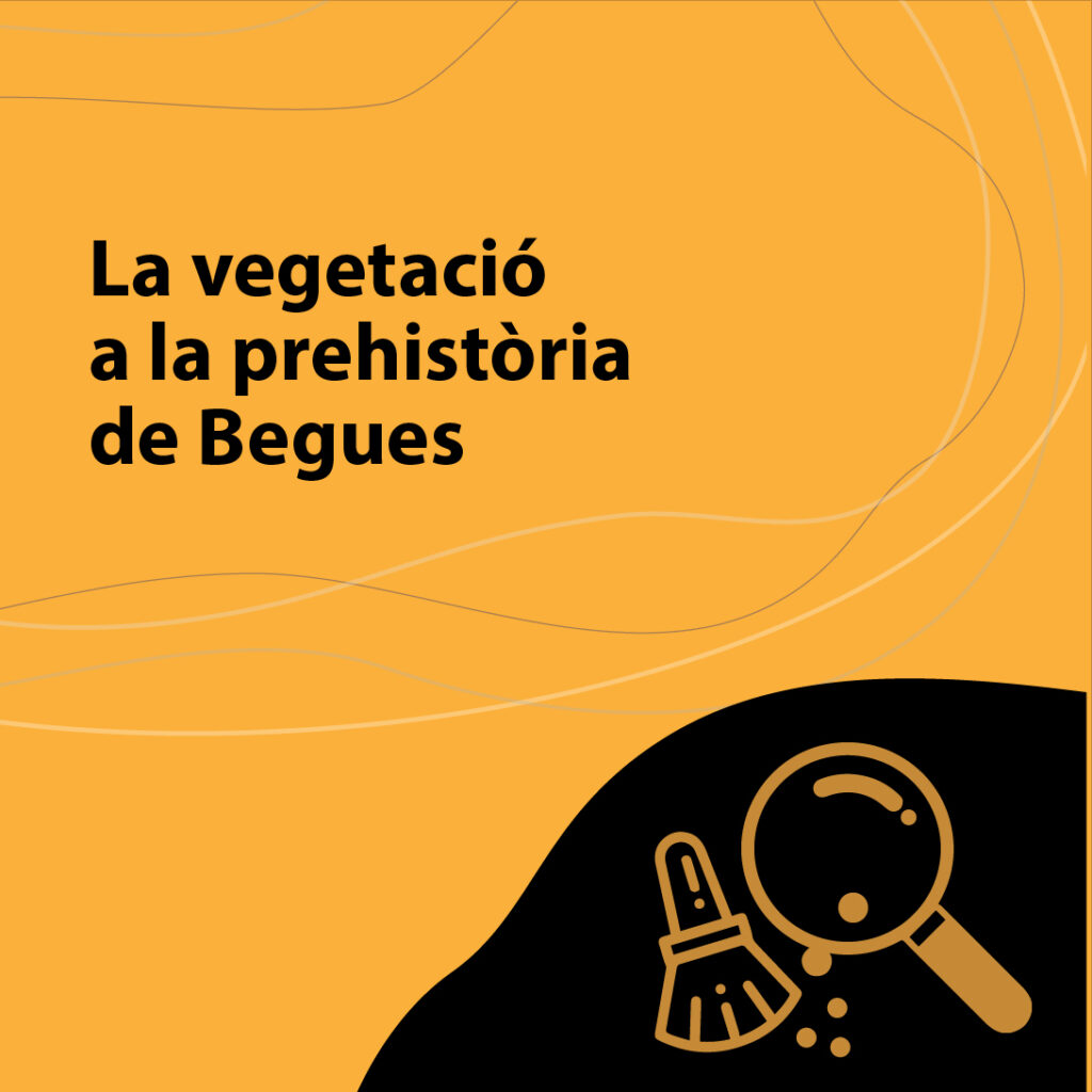 PUBLIC SCOLAIRE-Primaire (Cycle Supérieur)-SecondaireDurée : 1h.